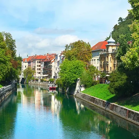 Apartman Optim